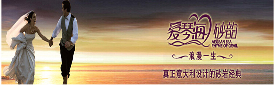 帝舵磁砖形象图