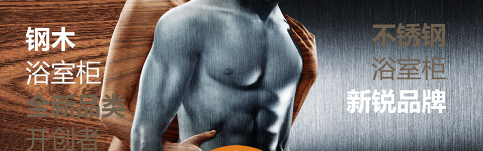 乐浪卫浴形象图