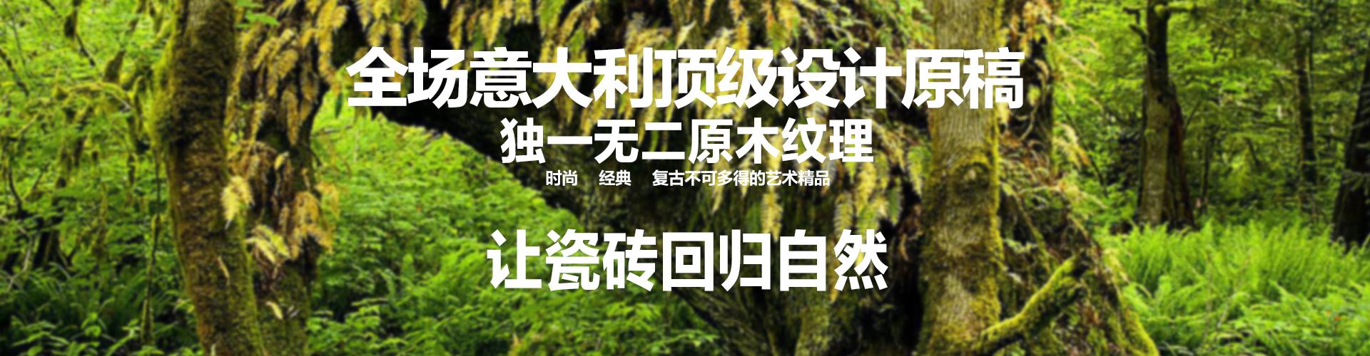 東和原木瓷砖形象图