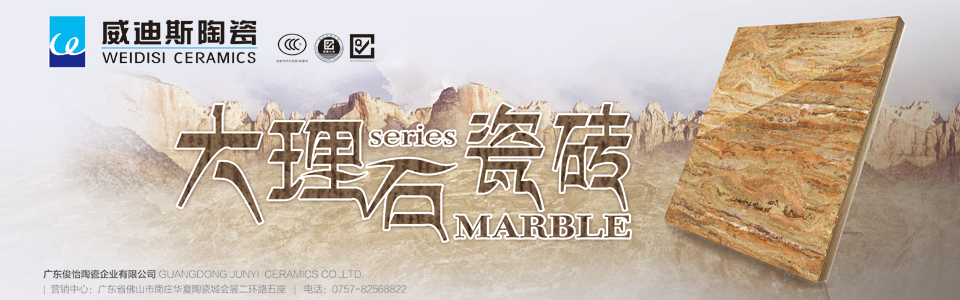 威迪斯陶瓷形象图