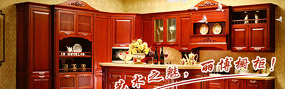 丽博橱柜形象图
