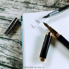 金鹰墨水形象图