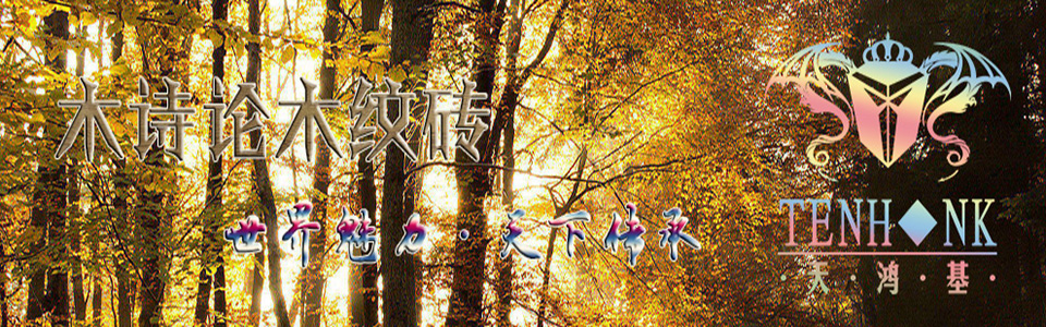 木诗伦瓷木形象图