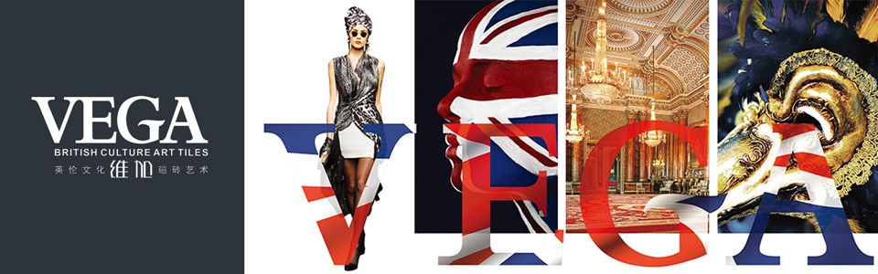 VEGA维加磁砖 形象图