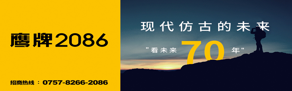 鹰牌2086现代砖 形象图