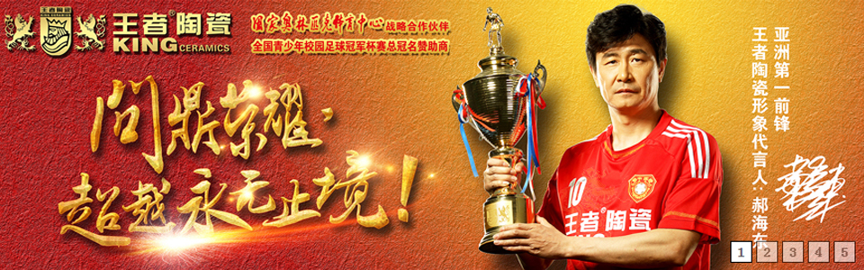 王者陶瓷形象图