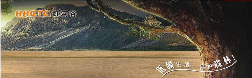 红河谷木纹砖形象图