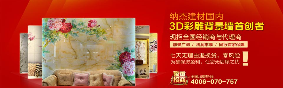 纳杰背景墙形象图